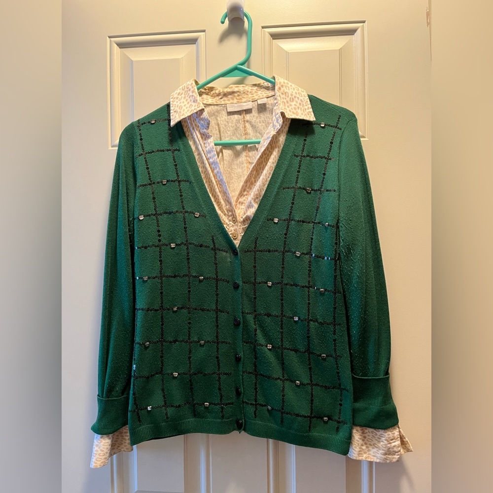 Green Sweater with Cheetah Blouse